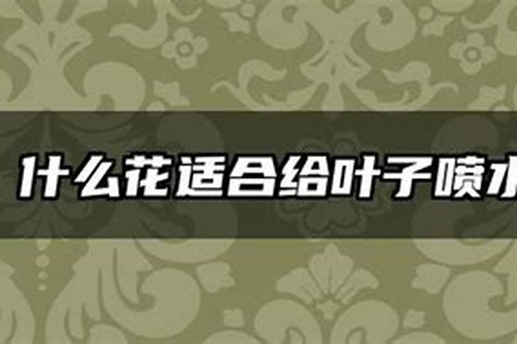 长寿花最好肥料