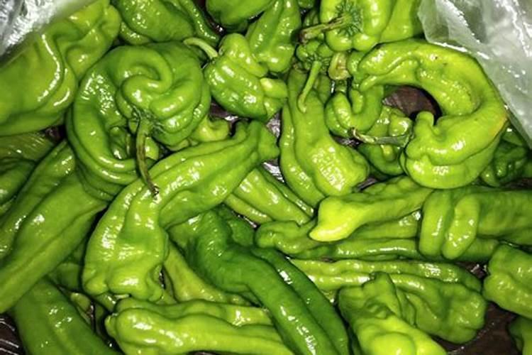 磷酸二氢钾是什么肥料