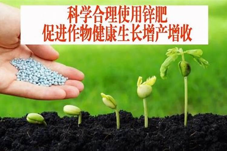 秋天可以给花木喷杀菌药和叶面肥吗