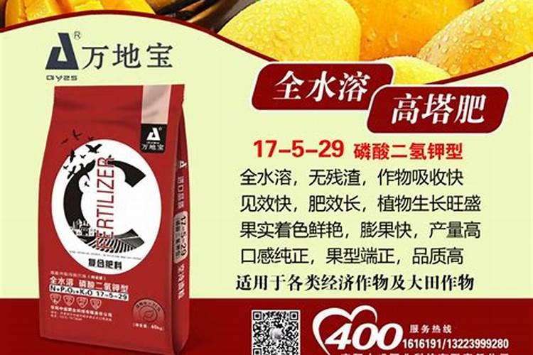 草莓苗水浇多了会怎么样 如何判断草莓要浇水