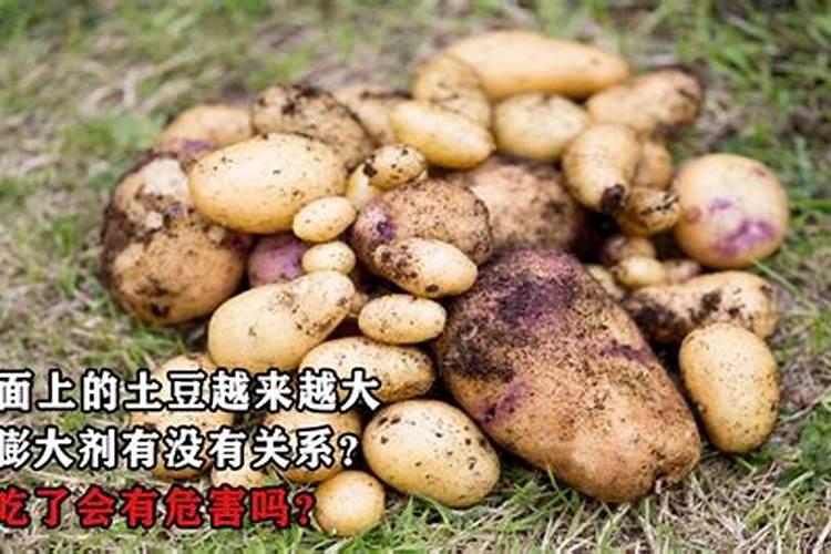 什么肥料膨大快