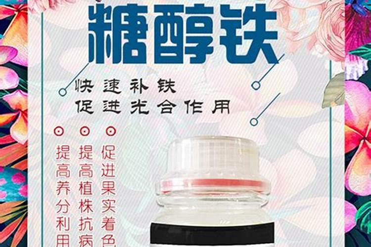哪种叶面用的钙肥吸收好