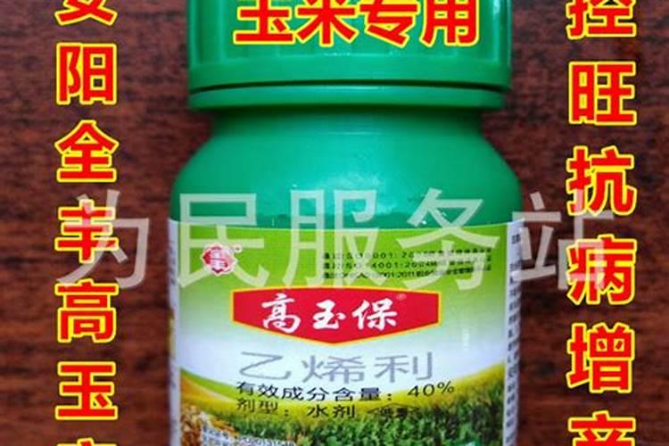 玉米叶面肥和壮丰灵能在一起打？