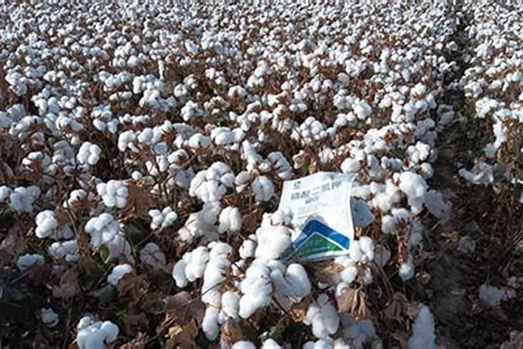 丙溴磷能配炔螨特加亚磷酸钾和多效唑吗