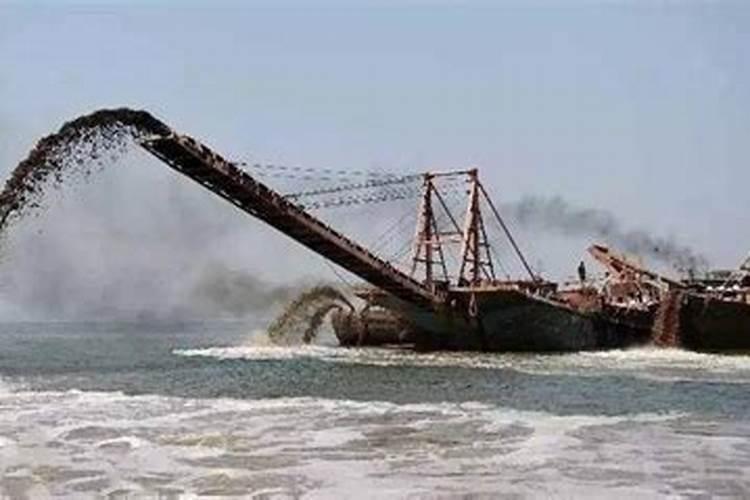 什么是海藻肥,有哪些功效 海藻肥是什么肥