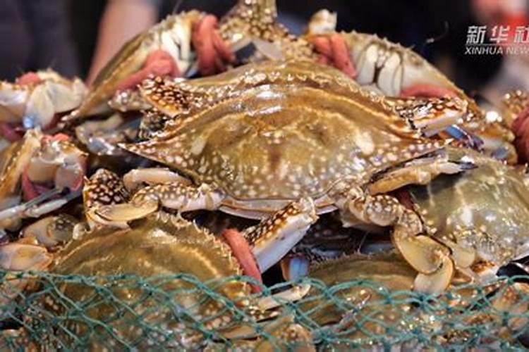 中国最好的海藻肥企业