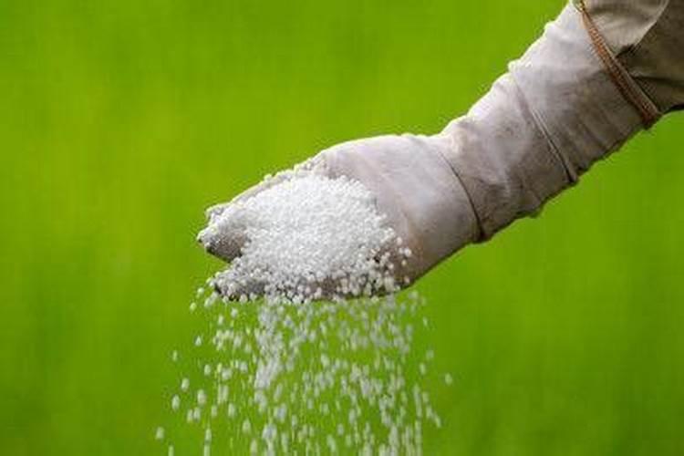 如何提高氮肥磷肥钾肥的利用率 提高氮肥磷肥钾肥的利用率方法