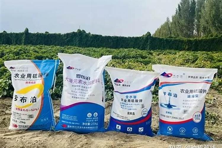 请问格尔木和罗布泊的钾肥哪个好