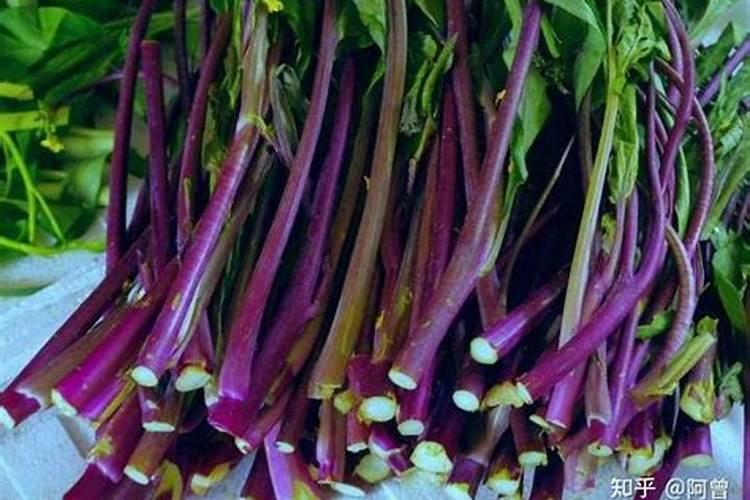 红菜苔施肥方法