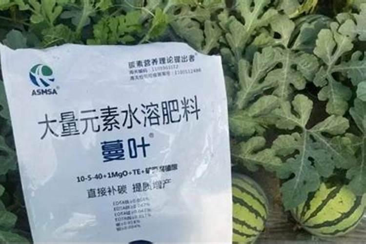 冬小麦用水溶肥可以吗