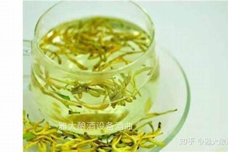 金银花黄叶沤根是咋回事？
