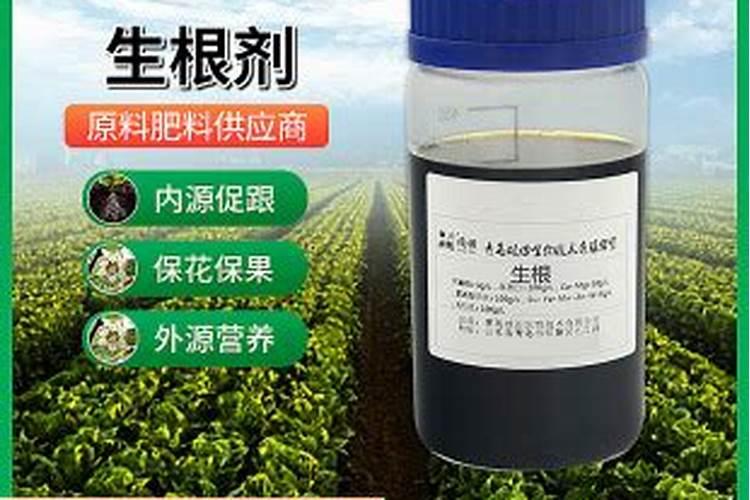 温室种植豆角,豆角在开花时对水肥的要求都有哪些？