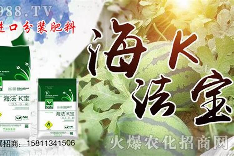含有钾的水溶肥都有哪些种类