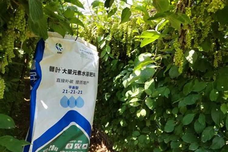 水溶肥哪个品牌最好