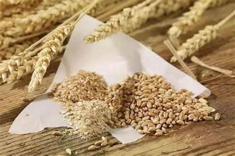 麸皮怎样发酵制肥料