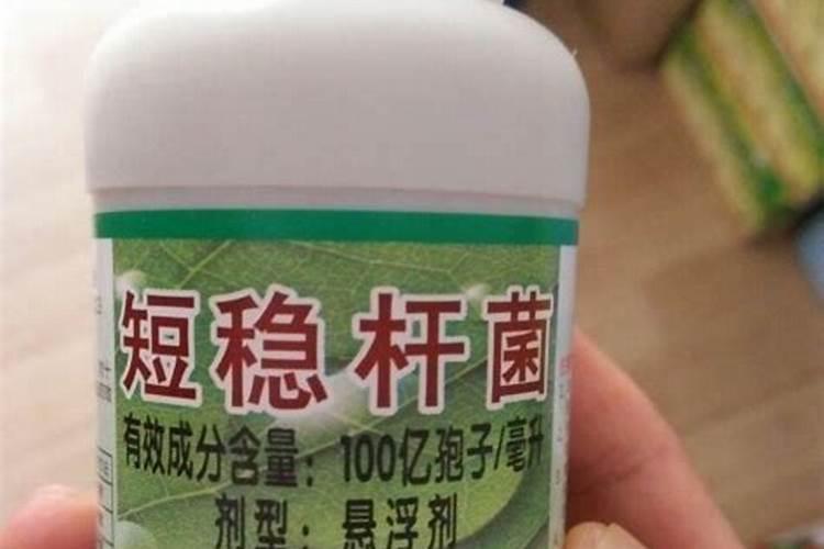 短稳杆菌可以和叶面肥复配吗？
