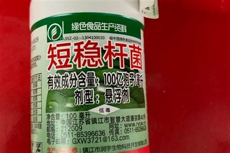 短稳杆菌防治果蝇效果