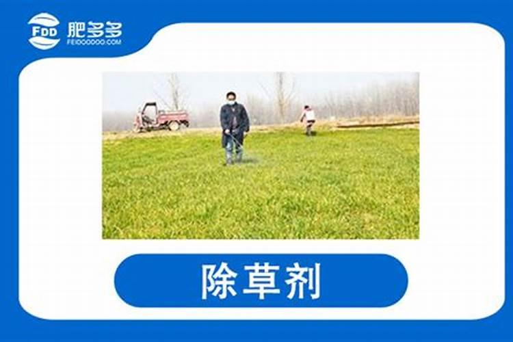 化学除草剂与肥效的关系