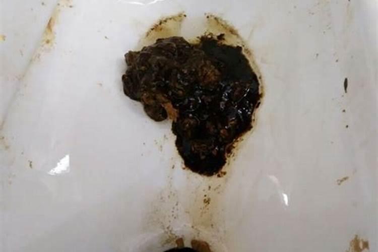 苹果为什么会出现糖化病,应该怎么预防呢？