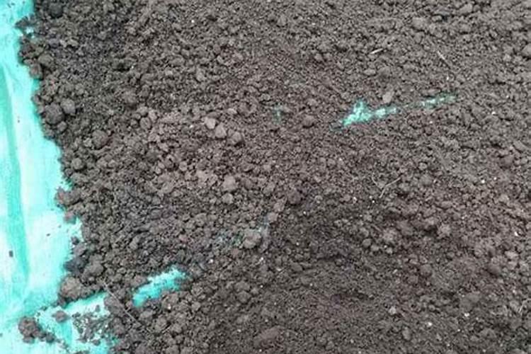 磷肥撒在地表面可以吸收吗 肥料撒在土壤表面可以吗
