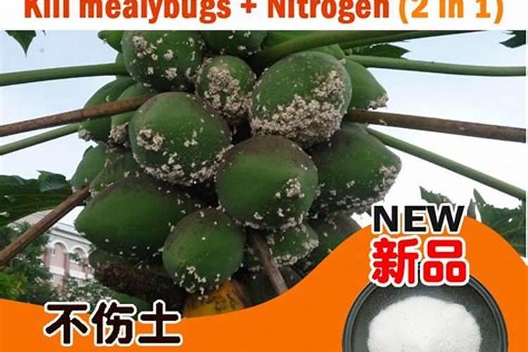 氮肥的主要成分和作用,怎么在家自制