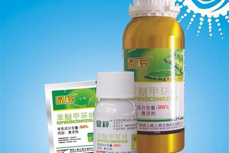 豇豆叶片从下到上都是黄色的。。什么原因？