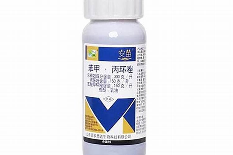 小麦不分蘖,无须根,