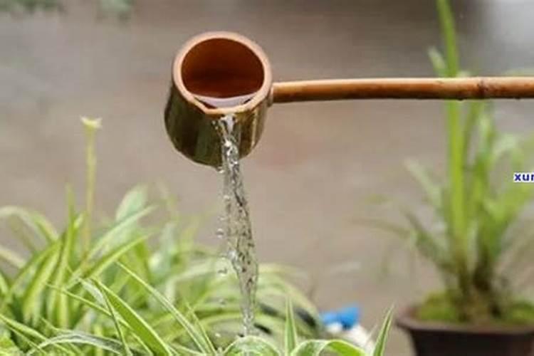 废茶叶水可以浇花吗
