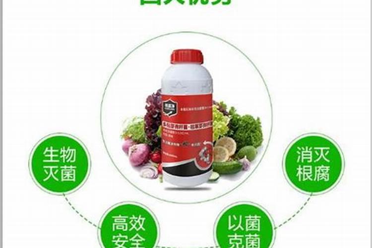 干腐病用什么杀菌剂