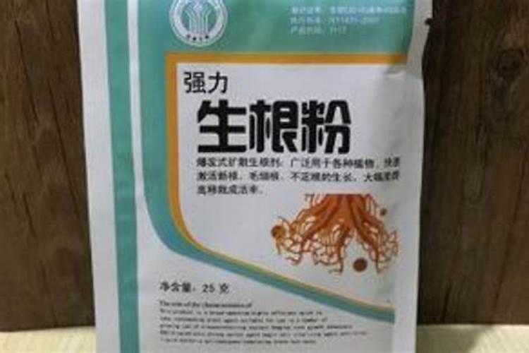 花卉出现肥害该如何进行处理