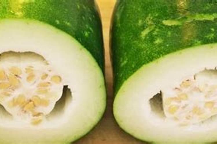 种冬瓜用什么肥料最好