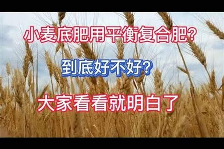 小麦亩产1600斤,底肥怎样施才能达到最佳效果