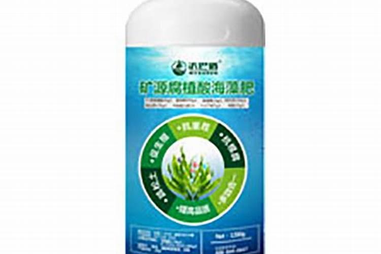 海藻肥的海藻肥的主要成分