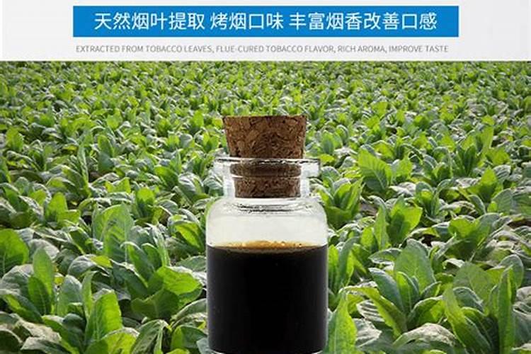 烤烟种植技术与方法