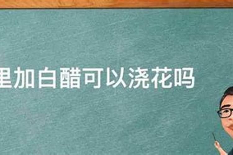 绣球调蓝可以用白醋吗,用白醋浇绣球的比例