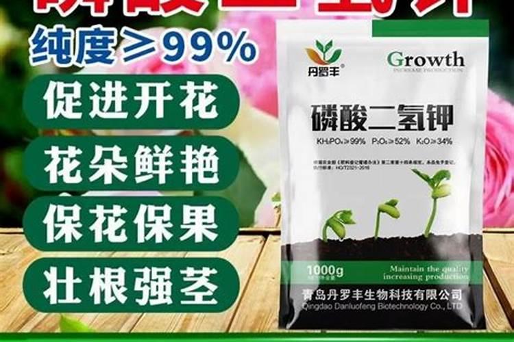 磷酸二氢钾是化肥吗？能用在室内观叶花吗