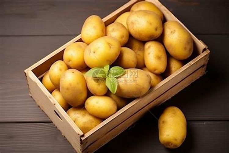 种植土豆最好是施哪种肥料最好？
