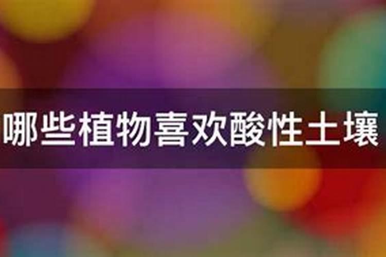 酸性肥有哪些