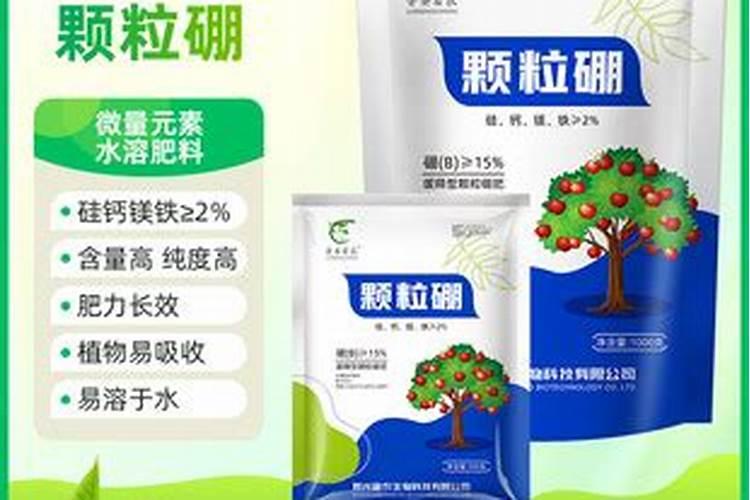 小麦硼肥的最佳使用时期
