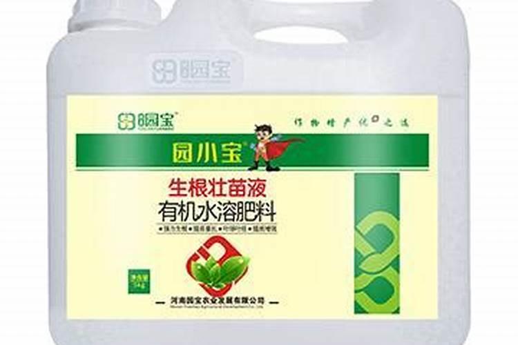 生根剂水溶肥叶面喷施效果会好吗