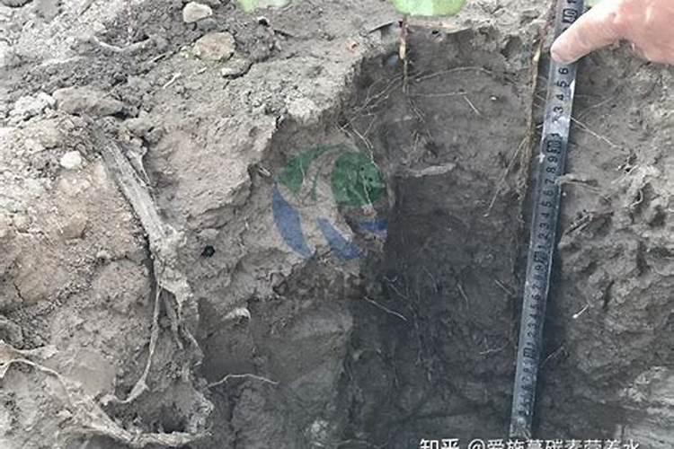 微量元素水溶肥多久用一次 微量元素水溶肥料的适用作物和使用方法