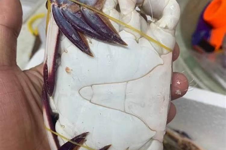 液氮冷冻梭子蟹能吃吗