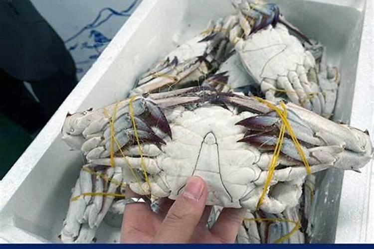 液氮冷冻的螃蟹能吃吗
