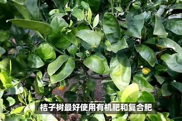 电池级碳酸锂产量多少吨 碳酸锂的产能过剩了吗