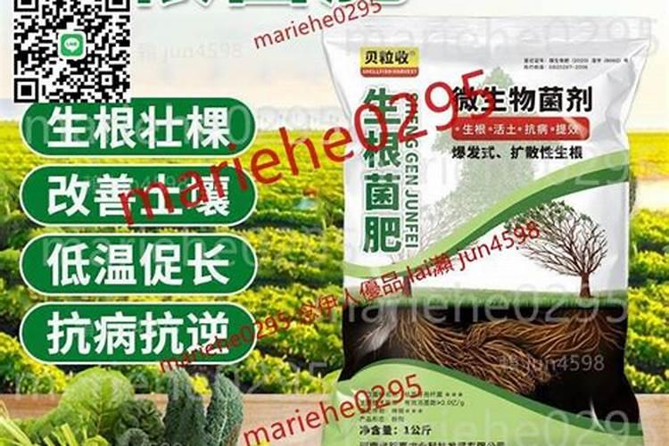 生根壮苗剂使用方法