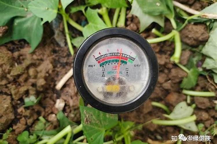 雷雨可以增加土壤中的A磷肥B有机肥C氮肥D钾肥