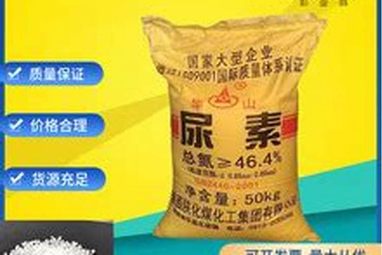 粉花大花藿香蓟种子多少钱一斤
