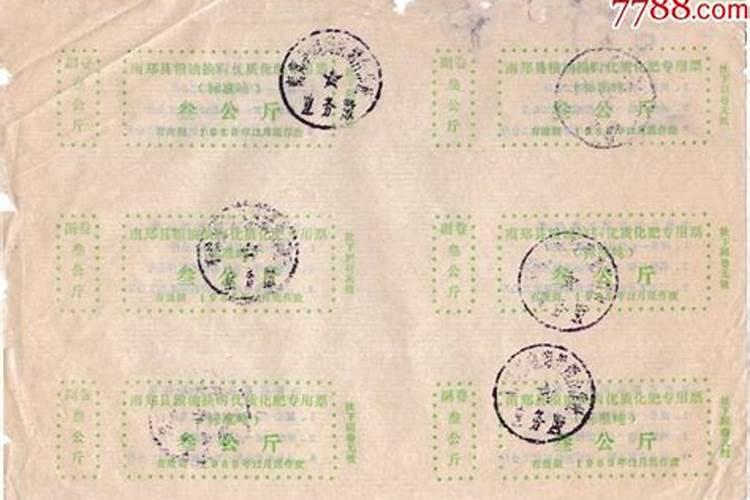 粉花大花藿香蓟种子多少钱一斤