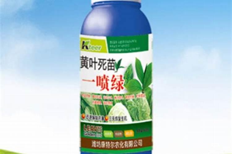 一喷绿有些什么效果