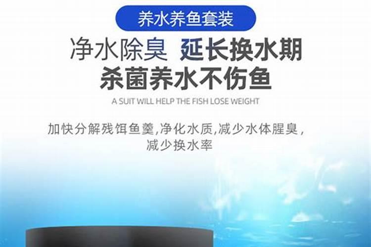 鱼缸加了杀菌药后可以加硝化细菌吗？